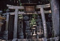 Shimazu clan graves