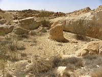 Nabataean farming, capturing 50 acres of run-off water for one acre of crops