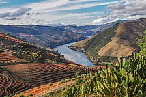 Alto Duero Vinatero