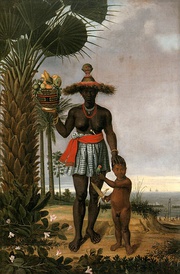 Maurice of Nassau became known as "The Brazilian" after returning to the Netherlands[13]