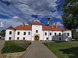 Castle in the town