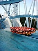 Griffon splashing down into a pool at Busch Gardens Williamsburg, US.