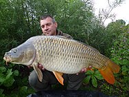 Anglers posing with very large carp