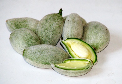 Green almonds