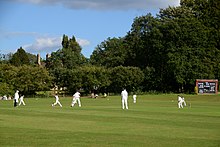 cricket match in progress