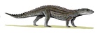 Comahuesuchus brachybuccalis