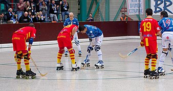 Roller sports (inline and quad):Inline hockey; Inline skater hockey; Roller hockey (quad)