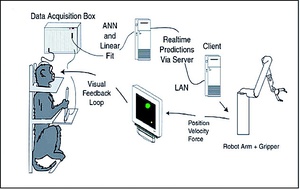 Drawing showing a monkey in a restraint chair, a computer monitor, a rototic arm, and three pieces of computer equipment, with arrows between them to show the flow of information.