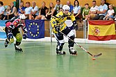 Roller sports (inline and quad):Inline hockey; Inline skater hockey; Roller hockey (quad)