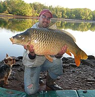 Anglers posing with very large carp