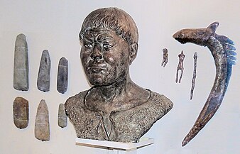 Artifacts and forensic reconstruction of an eastern hunter-gatherer from the site of Yuzhny Oleny island (dated c. 8,100 BP), by M. M. Gerasimov. National Museum of Karelia.[1]