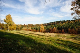 Soest, Netherlands: autumn landscape