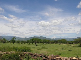 La sabana tropical seca en la región de Choluteca, (Honduras)