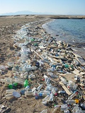 Plastic pollution affects seas, beaches, rivers and land (clockwise from top left): Olive ridley sea turtle entangled in a ghost net in the MaldivesPlastic pollution of Sharm el-Naga beach, near Safaga, EgyptPiles of plastic waste on the government-authorized "garbage island" of Thilafushi, MaldivesCanada Dry plastic bottle on hiking trail in the United States adjacent to an urban hiking trail.A tributary of the Wouri River in Douala, Cameroon, completely clogged with plastic.