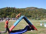 A-frame obstacle