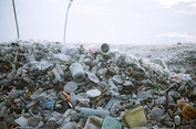 Plastic pollution affects seas, beaches, rivers and land (clockwise from top left): Olive ridley sea turtle entangled in a ghost net in the MaldivesPlastic pollution of Sharm el-Naga beach, near Safaga, EgyptPiles of plastic waste on the government-authorized "garbage island" of Thilafushi, MaldivesCanada Dry plastic bottle on hiking trail in the United States adjacent to an urban hiking trail.A tributary of the Wouri River in Douala, Cameroon, completely clogged with plastic.