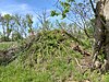 Etna Township Mounds I And II