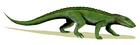 Notosuchus terrestris