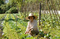 Composting within agricultural systems capitalizes upon the natural services of nutrient recycling in ecosystems. Bacteria, fungi, insects, earthworms, bugs, and other creatures dig and digest the compost into fertile soil. The minerals and nutrients in the soil is recycled back into the production of crops.