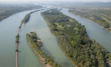 Aerial photo between Eltville and Bingen