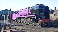 34027 Taw Valley painted purple