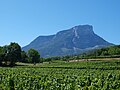 Le Granier and vineyards of Apremont.