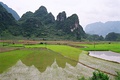 Rice fields in Cao Bằng