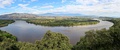 Bosque en galería