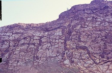 This rock wall shows dark veins of mobilized and precipitated iron within kaolinized basalt in Hungen, Vogelsberg area, Germany. The dark veins are precipitated iron within kaolinized basalt near Hungen, Vogelsberg, Germany.