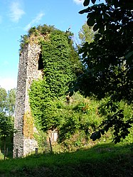 Ruins of the chateau