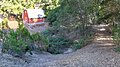 Deer Creek approaching the culvert at La Barranca Road, Los Altos Hills