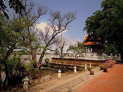 The last mangrove apple in Bangkok, its name is the origin of Bang Lamphu