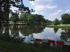 Moat at the Van Heutszpark