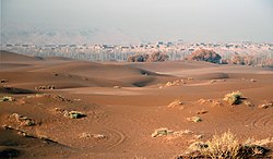 Sheds for drying grapes in the desert outside Shanshan