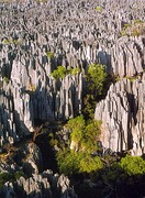 Parque nacional Tsingy de Bemaraha.