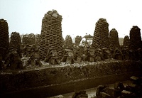 Peat stacks and cutting, Westhay, September 1905