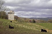 Rusco Tower, with a gabled cap-house on the right, giving access to a parapet around the main roof