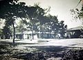 Wynnewood residential area in a promotional brochure of the American Home Realty Company (ca. 1953)