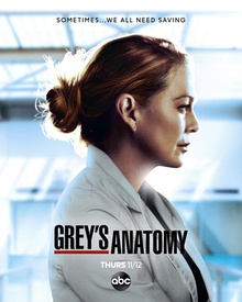 Grey's Anatomy season 17 promotional poster