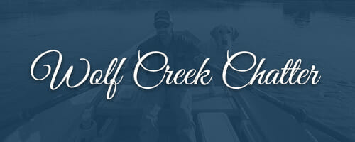 Wolf Creek Chatter