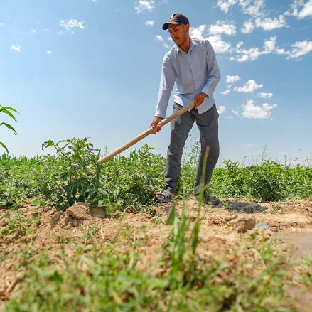 Farmer in the field