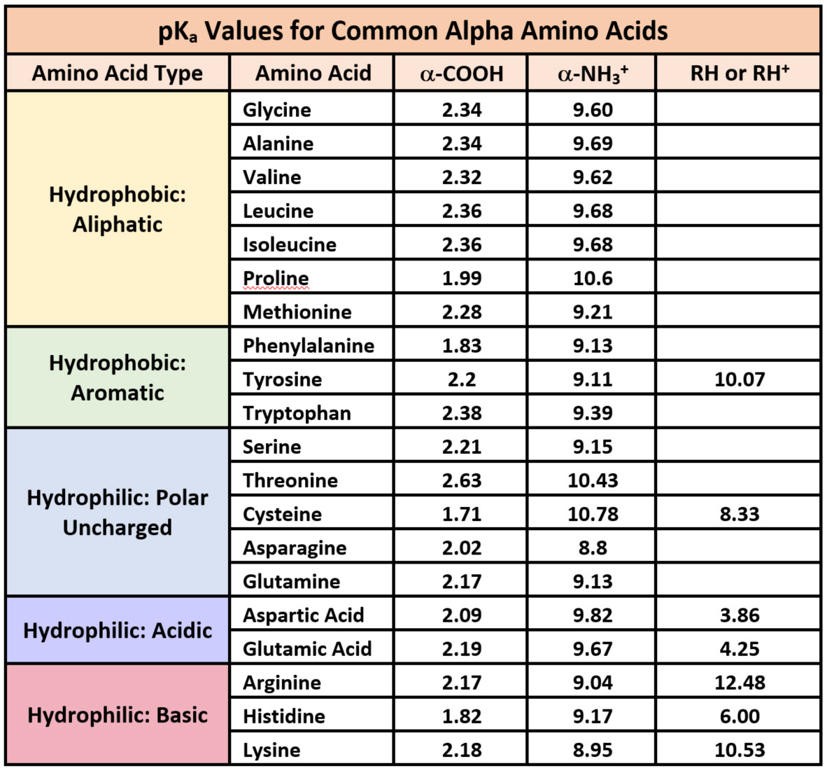 Printable Amino Acid Chart