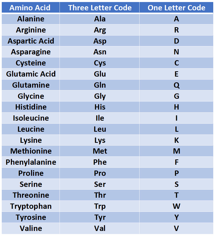 Amino Acids Chart