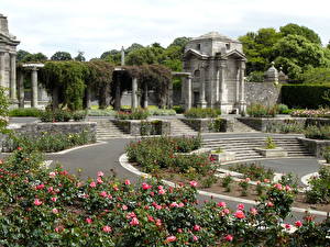 Bakgrundsbilder på skrivbordet Park Dublin Irland Memorial Rose Garden Natur