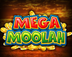 mega moolah Spin Casino Review NZ