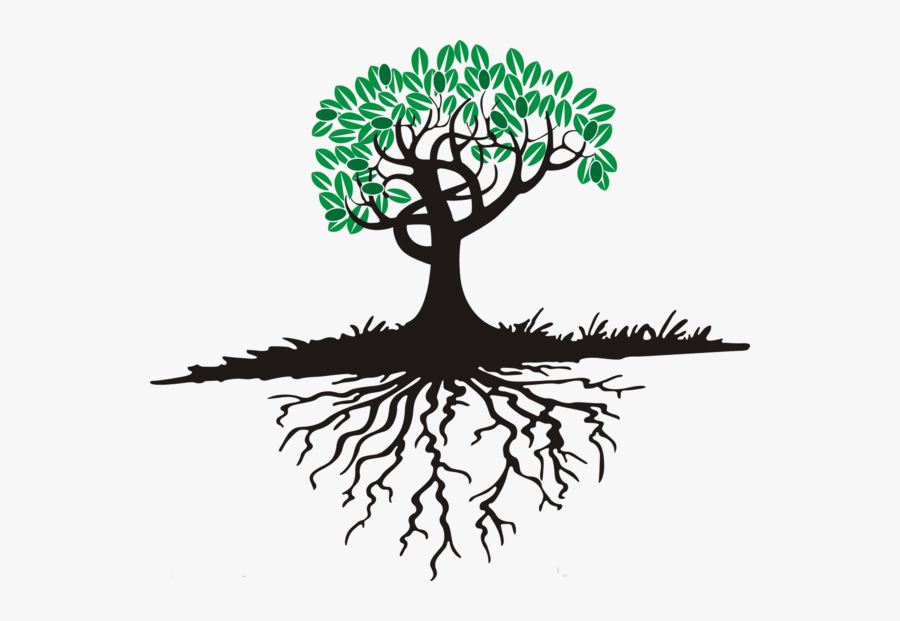 Tree Roots Cartoon , Free Transparent Clipart - ClipartKey