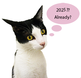 New Year already cat wondering clipart