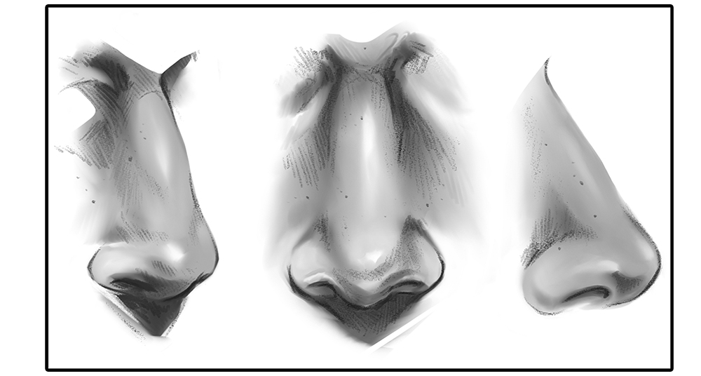 Share more than 72 realistic nose sketch latest - in.eteachers