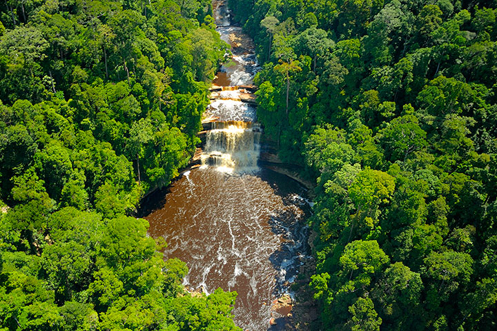 Maliau Basin