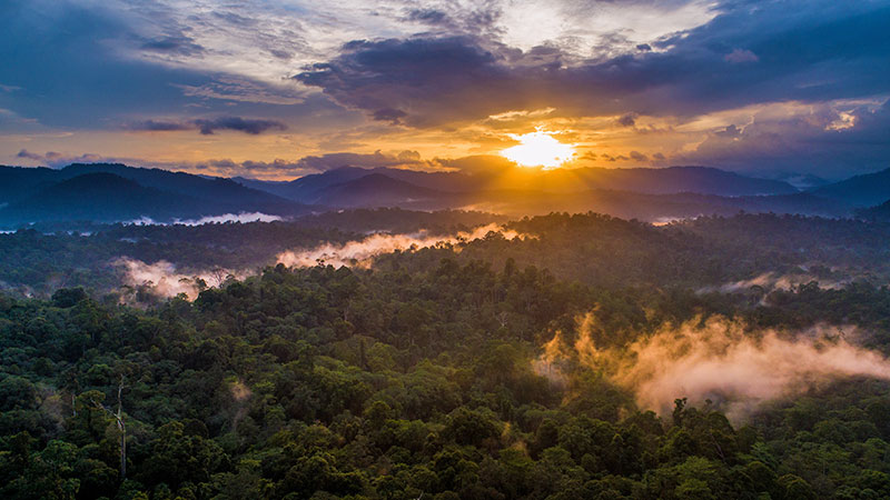 Danum Valley